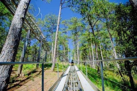 Tour 1 Nội Thành Đà Lạt - hình 1